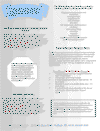 calciu5.gif (127341 bytes)